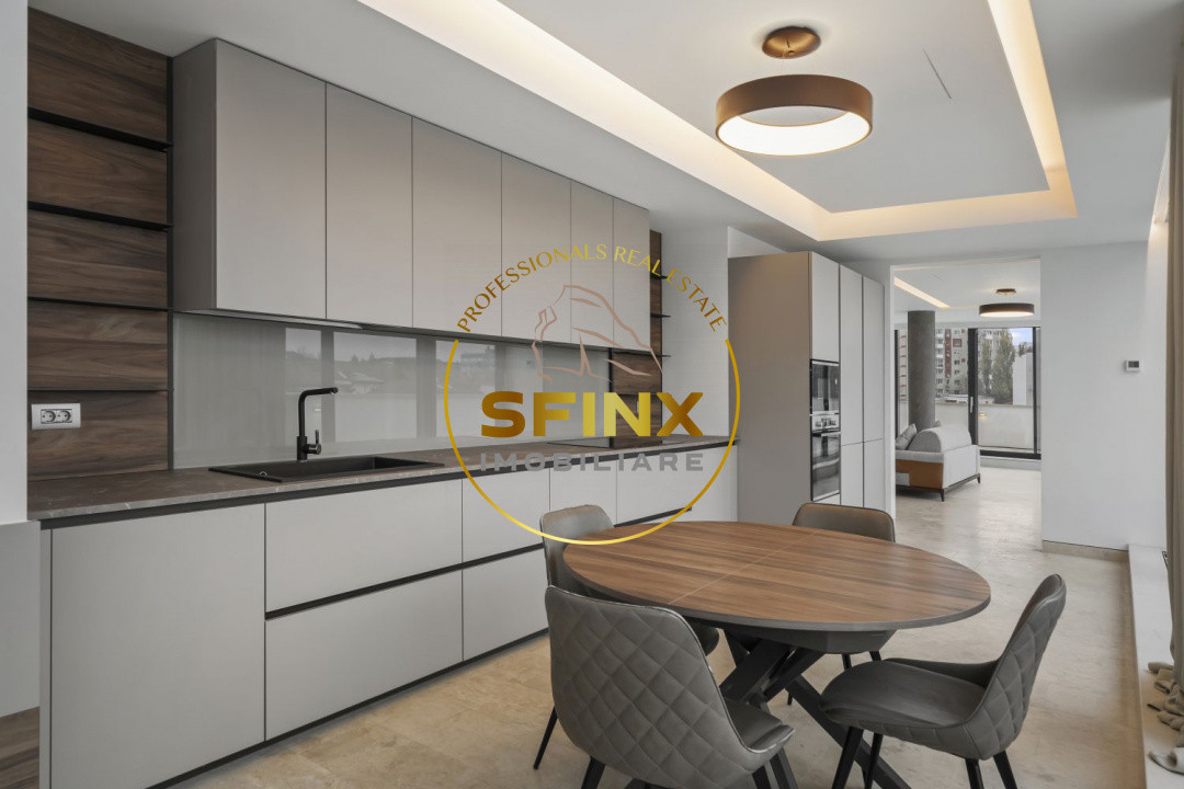 Kiseleff, 4 room penthouse with roof terrace, panoramic view, pet friendly