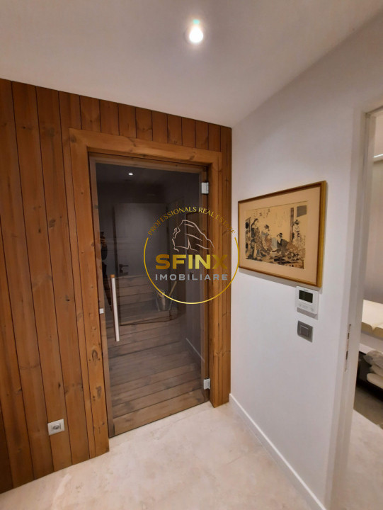 Kiseleff, 4 room penthouse with roof terrace, panoramic view, pet friendly