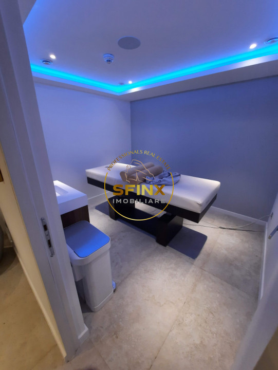 Kiseleff, 4 room penthouse with roof terrace, panoramic view, pet friendly