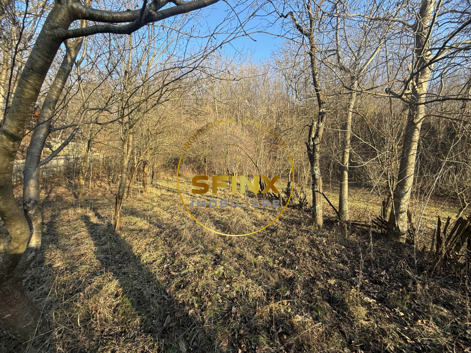 Casa moderna 5 camere Drajna de Sus,  teren generos si pomi fructiferi