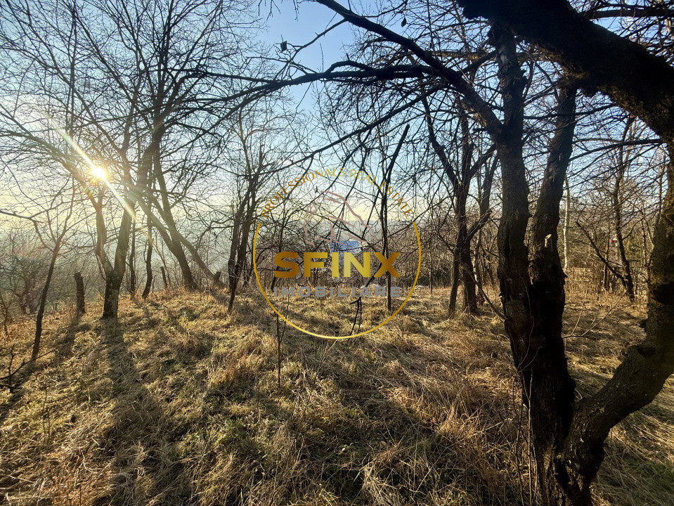 Casa moderna 5 camere Drajna de Sus,  teren generos si pomi fructiferi