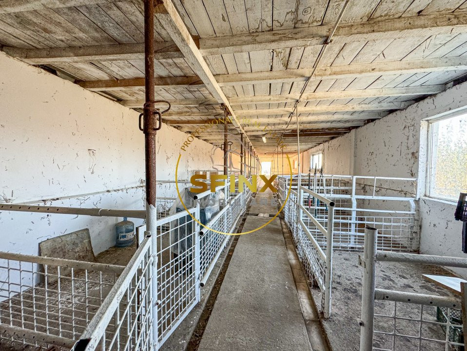 De vanzare ferma Calarasi in stare de conservare - sere - livada 