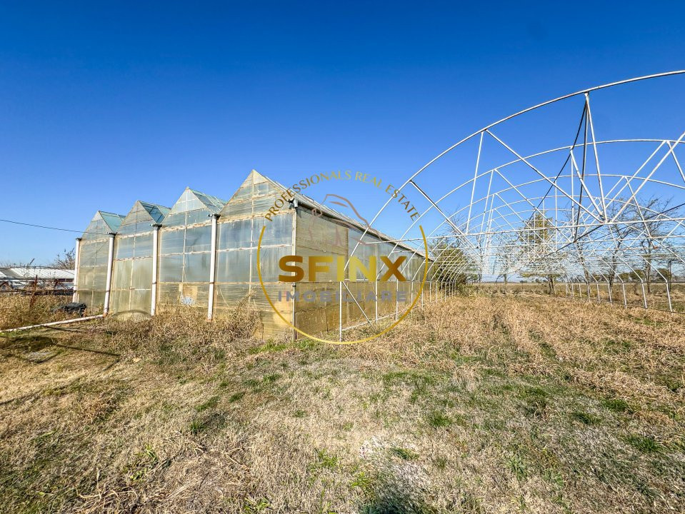 De vanzare ferma Calarasi in stare de conservare - sere - livada 