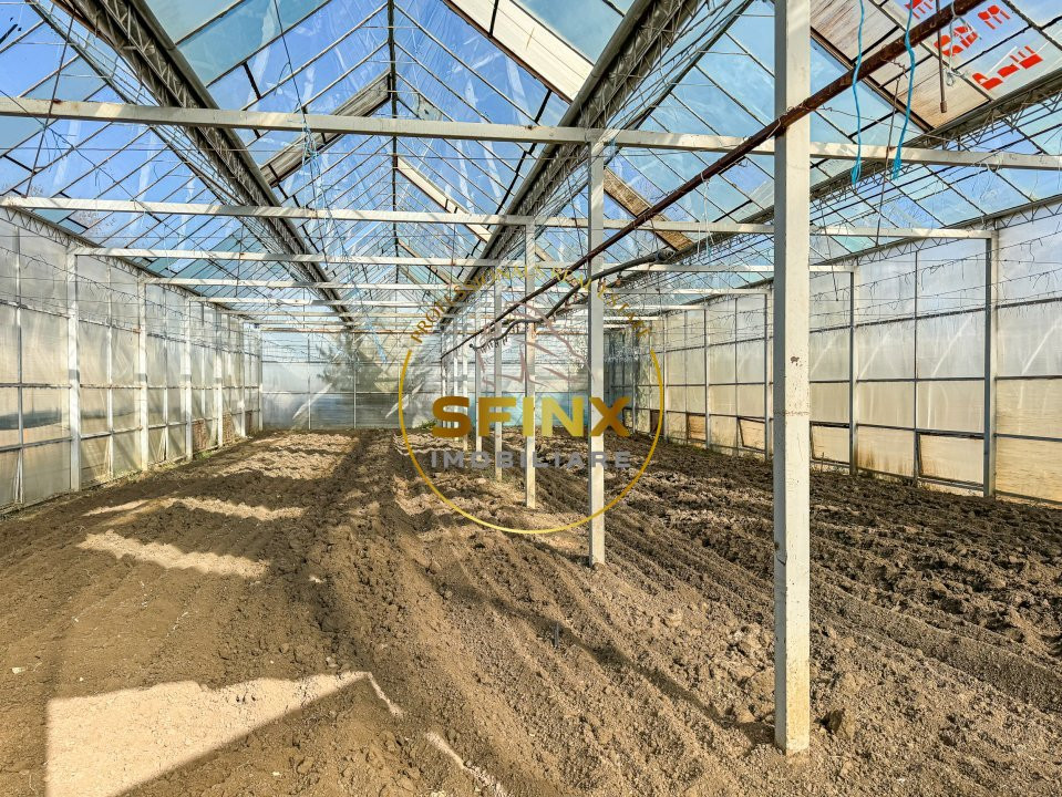 De vanzare ferma Calarasi in stare de conservare - sere - livada 