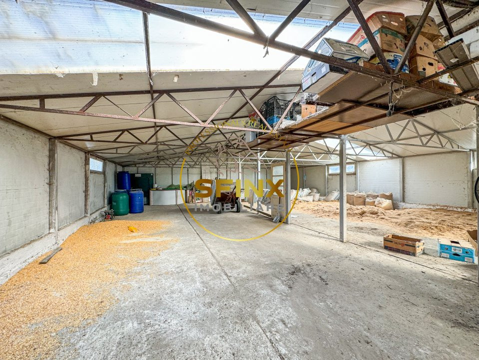 De vanzare ferma Calarasi in stare de conservare - sere - livada 