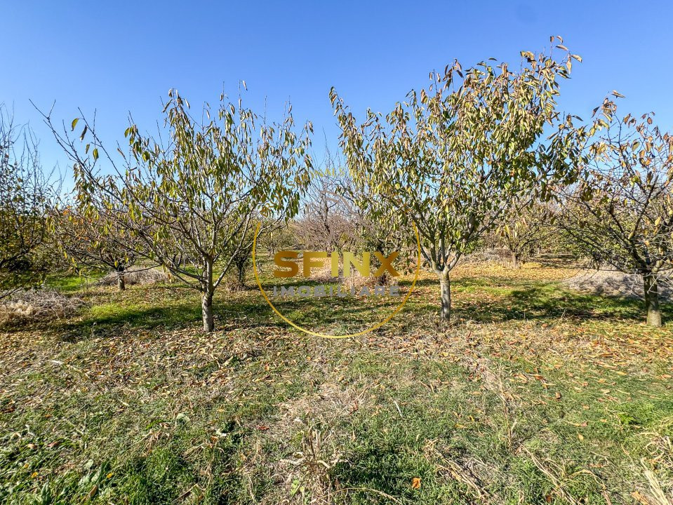 De vanzare ferma Calarasi in stare de conservare - sere - livada 