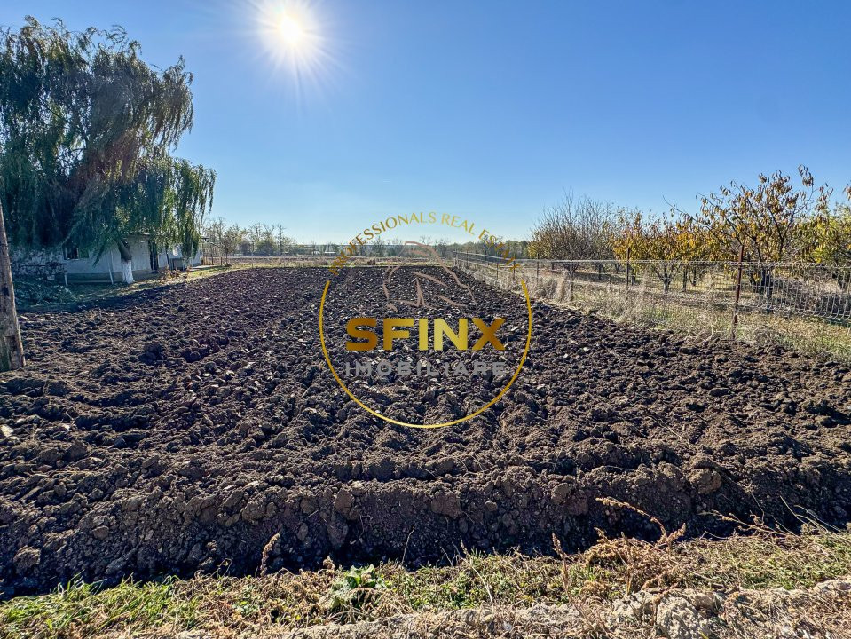 De vanzare ferma Calarasi in stare de conservare - sere - livada 