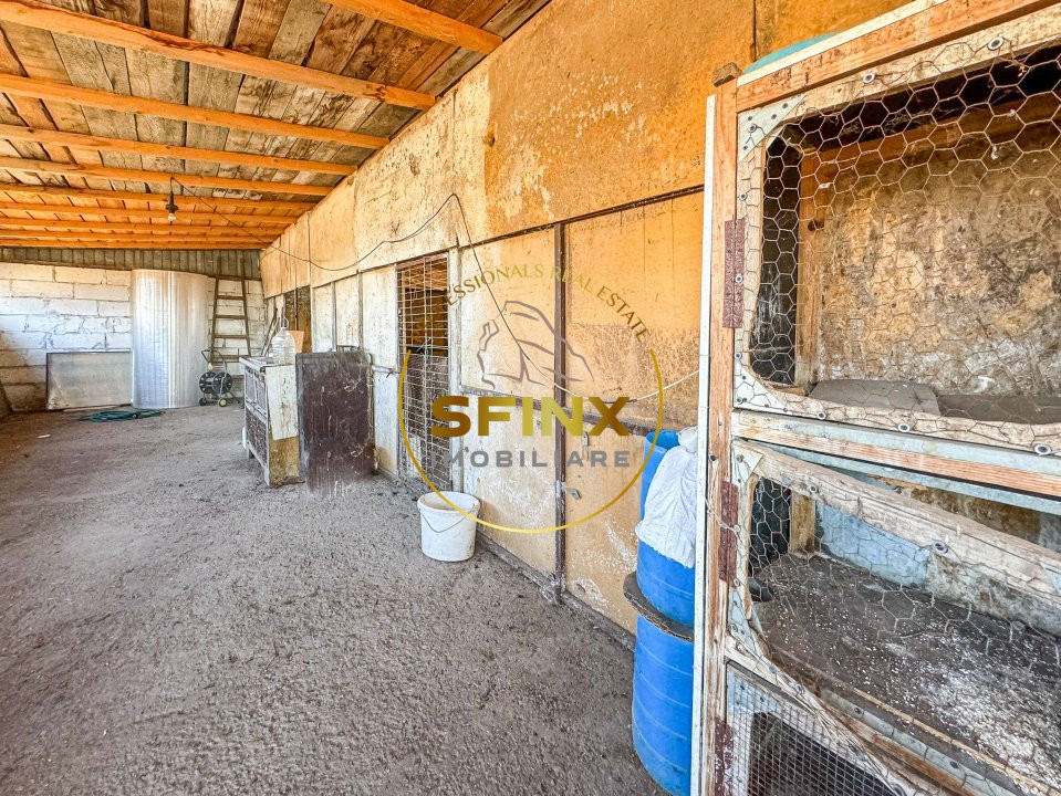 De vanzare ferma Calarasi in stare de conservare - sere - livada 