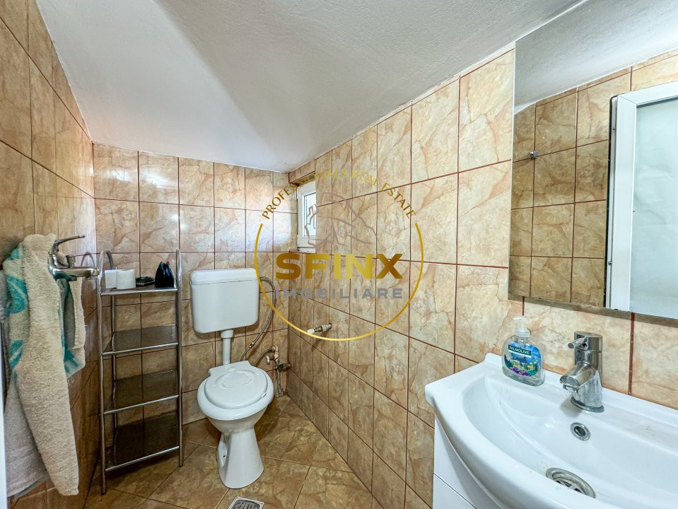 De vanzare ferma Calarasi in stare de conservare - sere - livada 