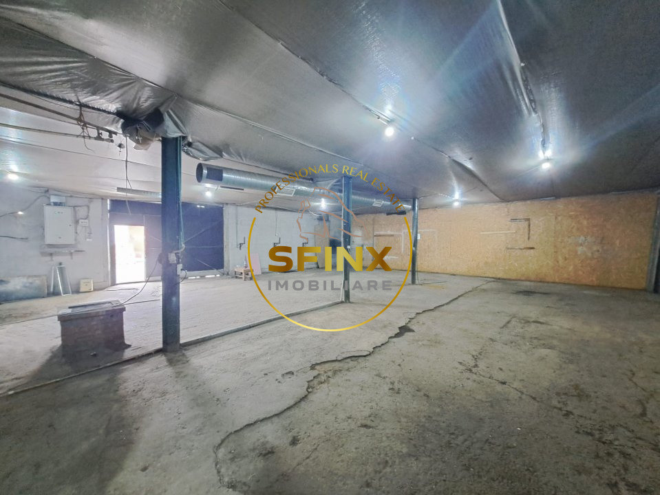 Hale de inchiriat Doamna Ghica, Baicului, ideal depozitare