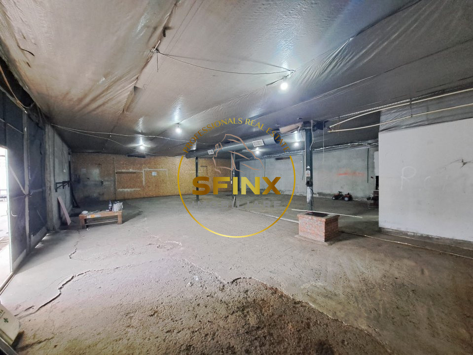 Hale de inchiriat Doamna Ghica, Baicului, ideal depozitare