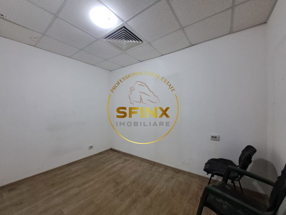 Hale de inchiriat Doamna Ghica, Baicului, ideal depozitare