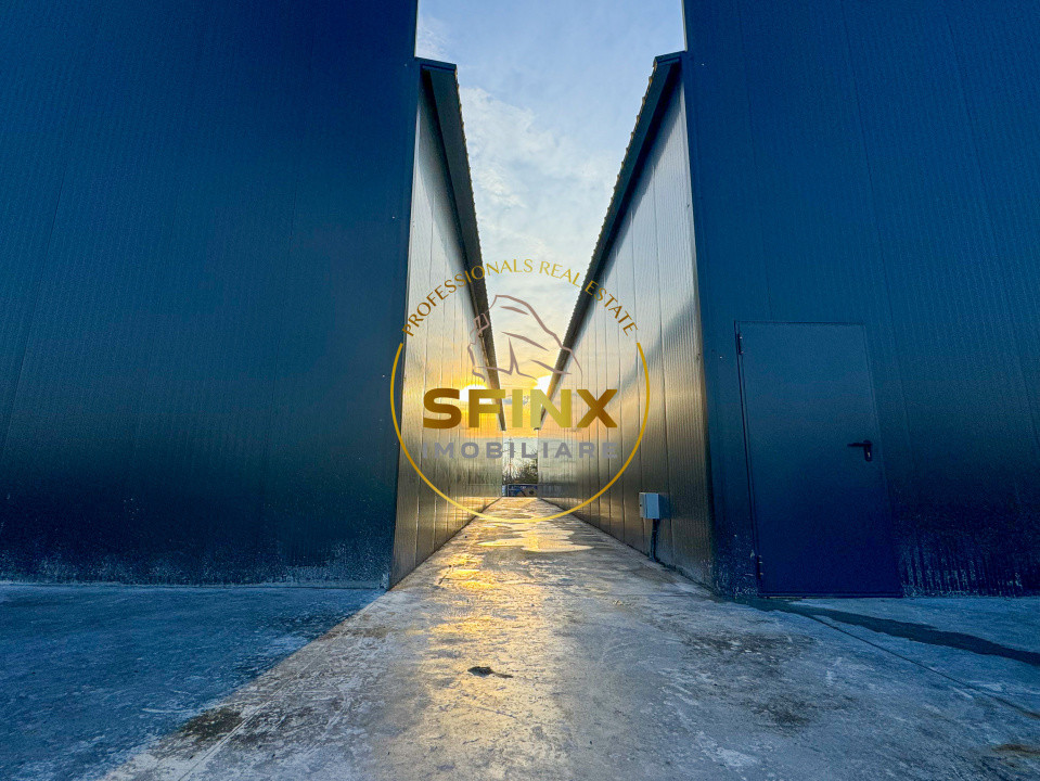 Hala industriala 2025 Bragadiru acces A0 Centura