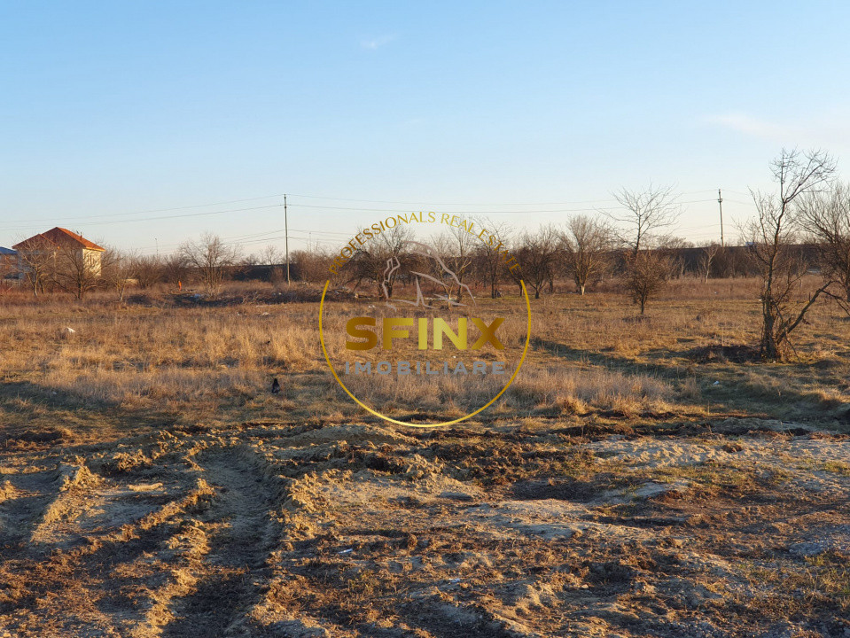 Teren intravilan | Soseaua Alexandriei | 10.000 mp | deschidere 32 mp 