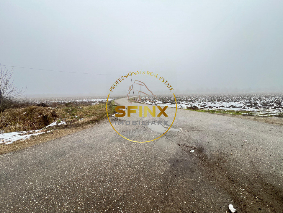 LAC PRIVAT DE PESCUIT PREMIUM 12.6 HA– CĂLINEȘTI, JUD. ARGEȘ