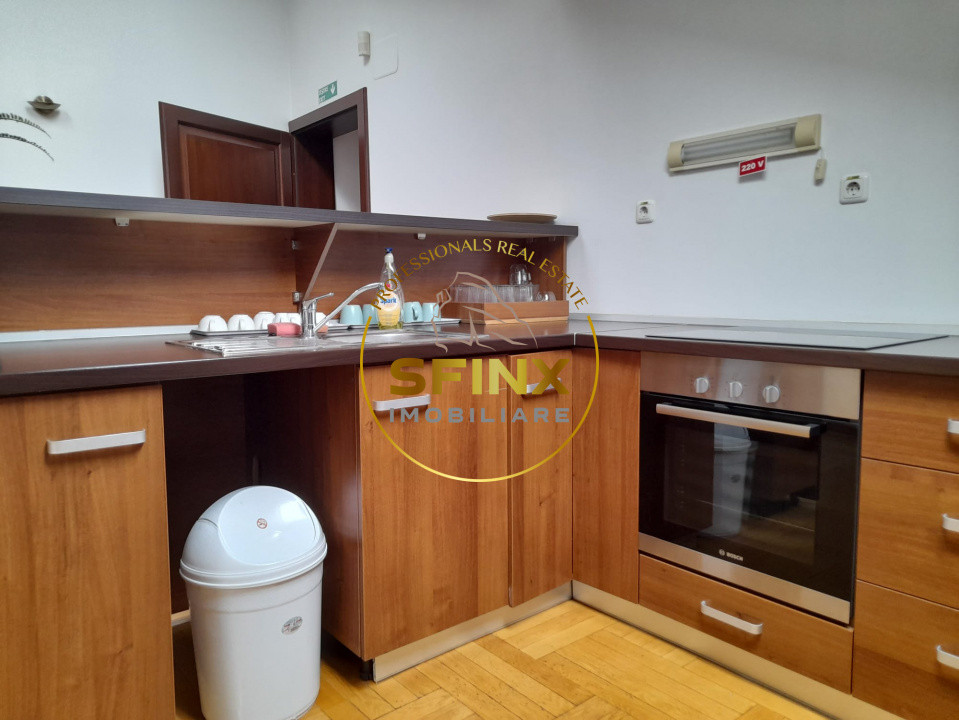 Piata Victoriei, inchiriere spatiu birouri in vila, 100mpu, atmosfera cocheta