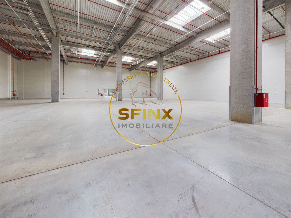 Spatiu depozitare clasa A, zona vest, Dragomiresti, A1.