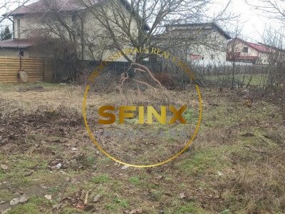 438 mp teren casa intravilan/ central Comuna Berceni/ gaz/ curent