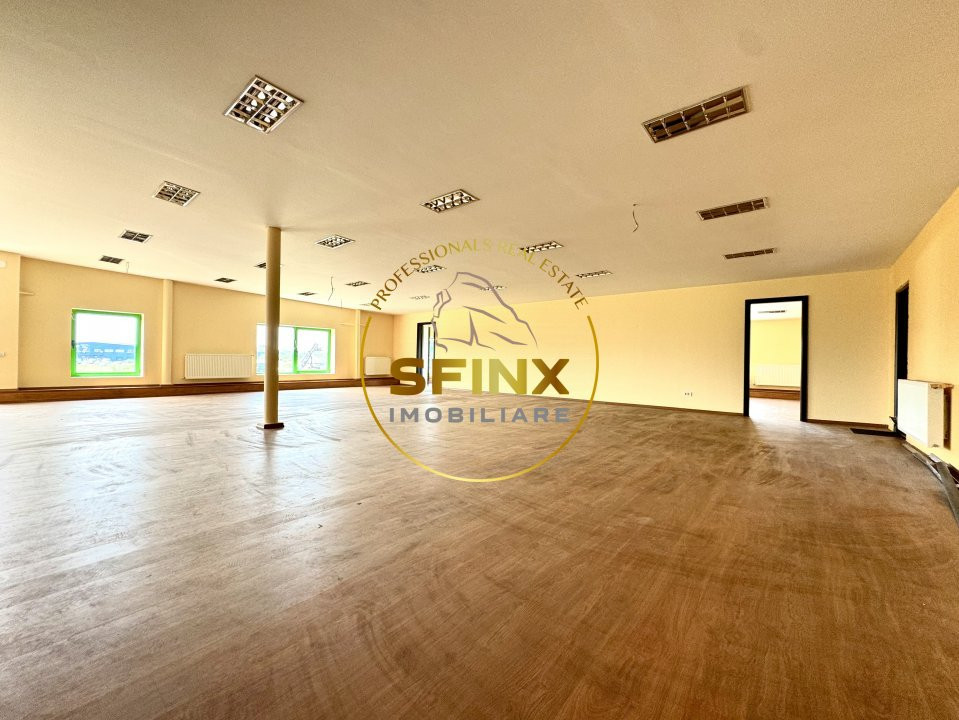 Zona Odai Mogosoaia - Hala 330 mp - înălțime 7 m - platforma betonata