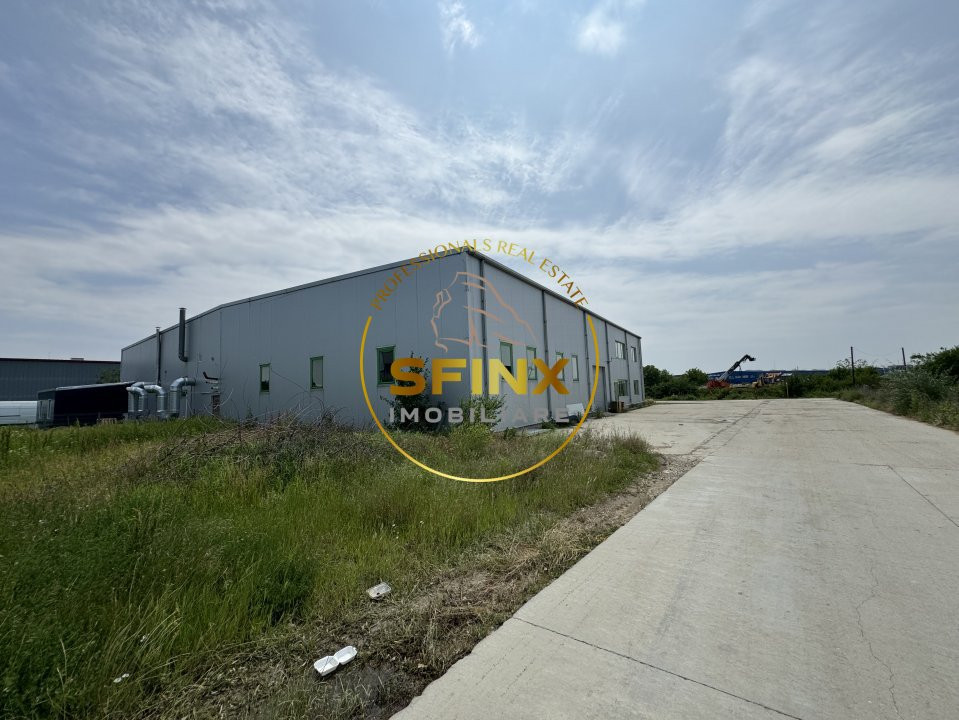 Zona Odai Mogosoaia - Hala 330 mp - înălțime 7 m - platforma betonata