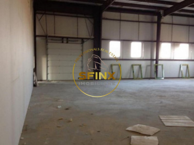 Zona Odai Mogosoaia - Hala 330 mp - înălțime 7 m - platforma betonata