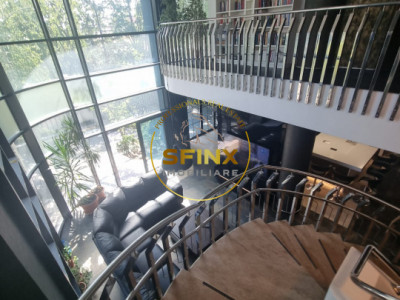 Vila superba, amenajata pentru clinica medicala | Colentina | 365 mp utili