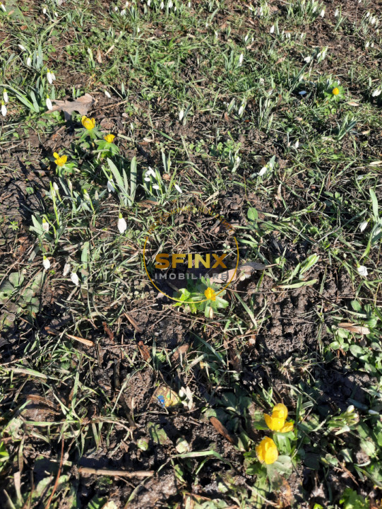 Parc Cismigiu, vanzare apartament 4 camere in vila interbelica