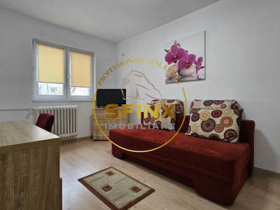 Garsoniera Piata Alba Iulia/ renovata