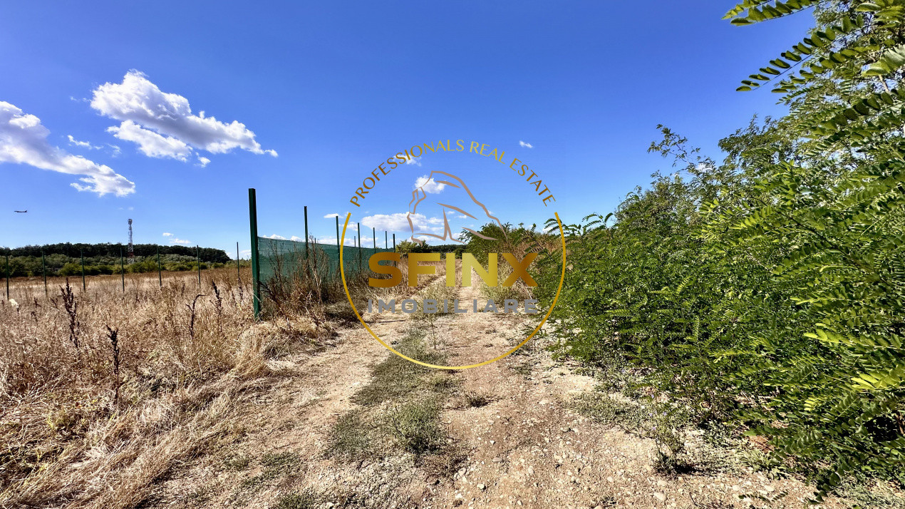 Corbeanca 2000 mp | deschidere 22 m la drum asfaltat | padure | utilitati 