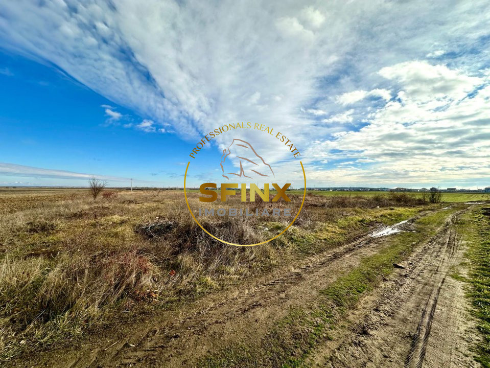 LOT de casa Tartasesti Primarie | teren cu potential