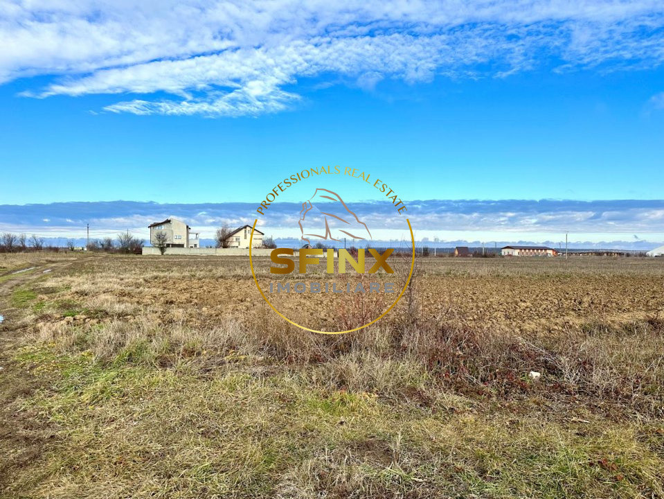 LOT de casa Tartasesti Primarie | teren cu potential