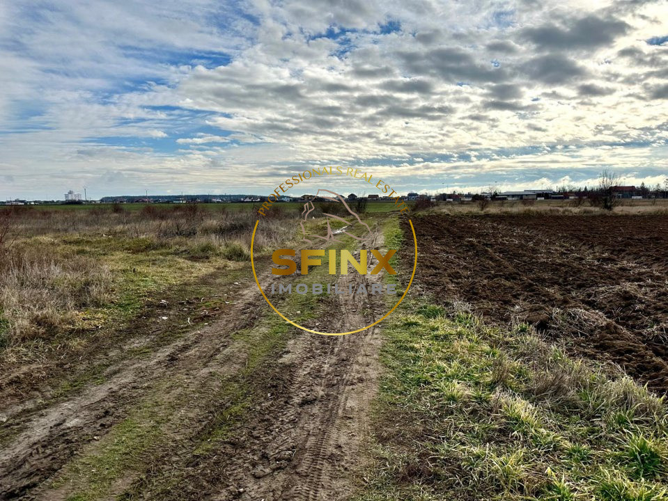 LOT de casa Tartasesti Primarie | teren cu potential