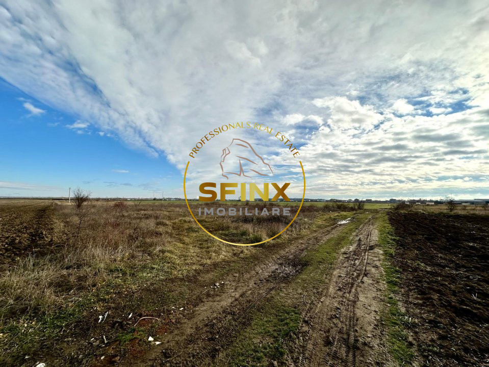 LOT de casa Tartasesti Primarie | teren cu potential