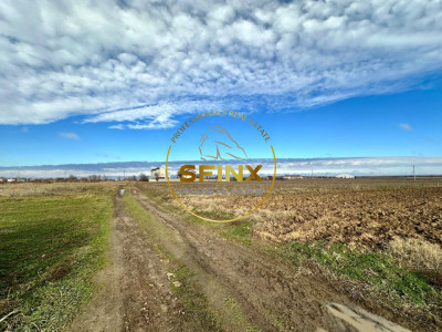 LOT de casa Tartasesti Primarie | teren cu potential