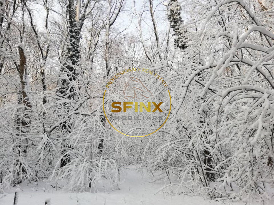 Baneasa Forest, pet friendly, beautiful 228 sqm apartment for rent, garage