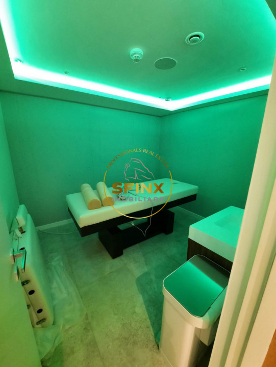 Kiseleff, to let, pet friendly, 5 rooms, 250 sqm, 67sqm terraces, 2 parking lots