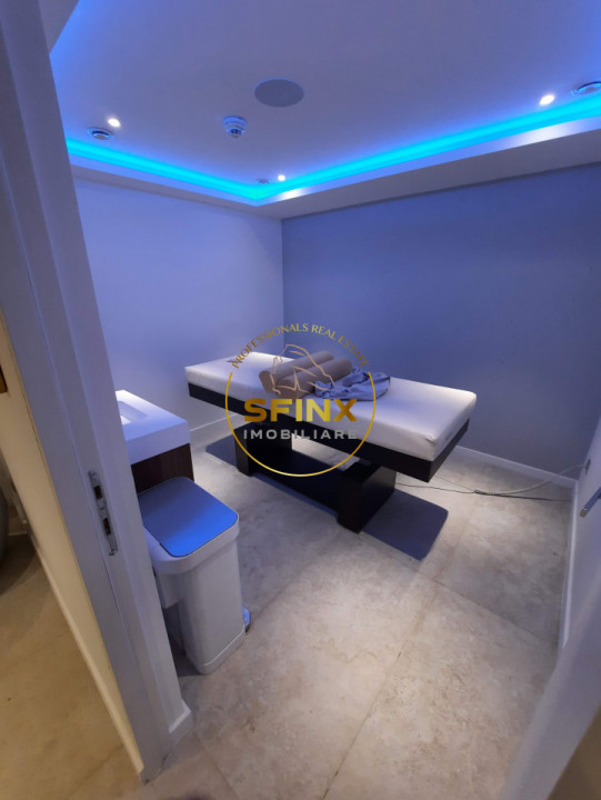 Kiseleff, to let, pet friendly, 4 rooms, 228 sqm, 20sqm terraces, 2 parking lots