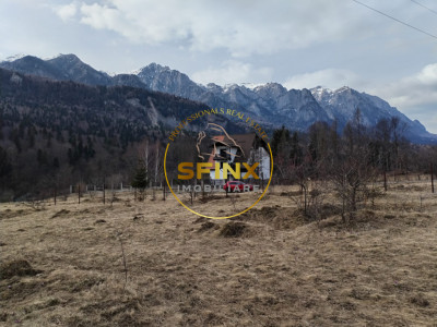 Teren intravilan cartier Cumpatu - Sinaia