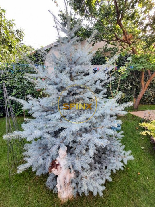 Parc Marin Preda, sector 1, vanzare vila individuala, mobilata, gradina, parcare