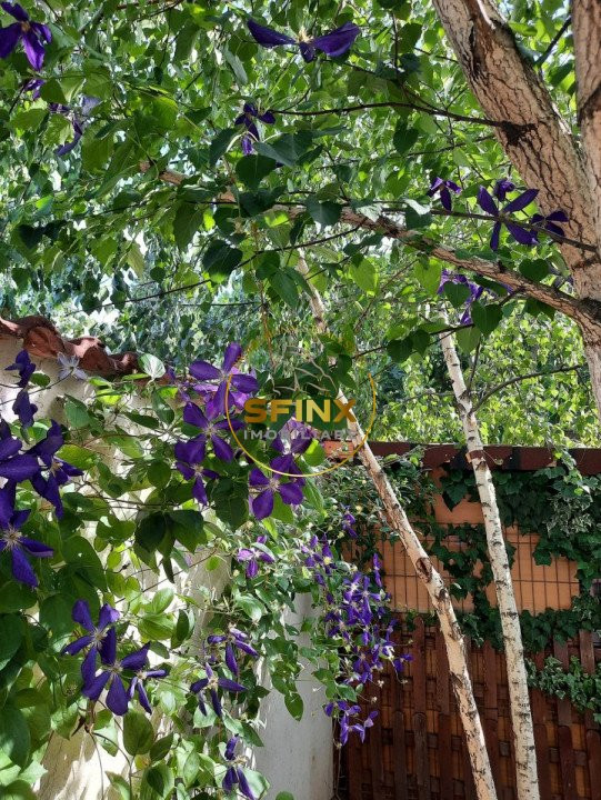 Parc Marin Preda, sector 1, vanzare vila individuala, mobilata, gradina, parcare