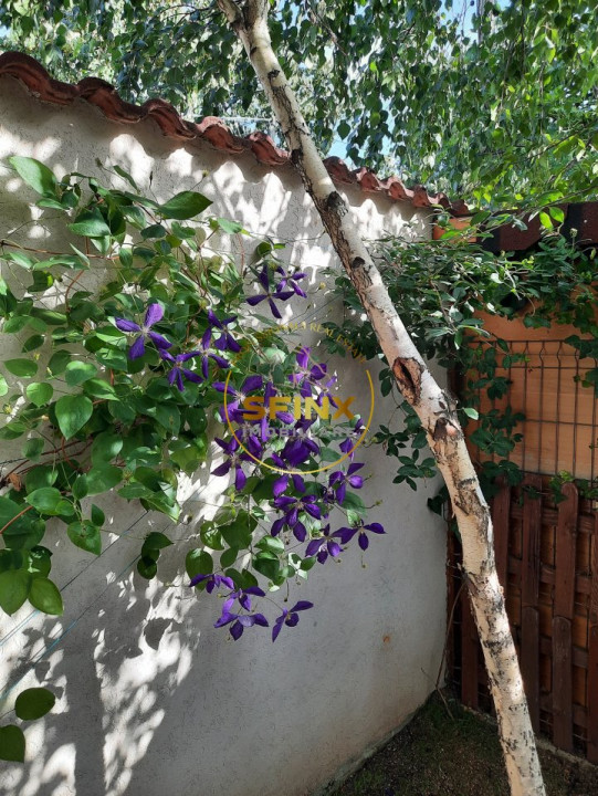 Parc Marin Preda, sector 1, vanzare vila individuala, mobilata, gradina, parcare