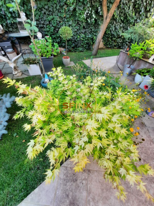 Parc Marin Preda, sector 1, vanzare vila individuala, mobilata, gradina, parcare