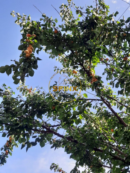 Parc Marin Preda, sector 1, vanzare vila individuala, mobilata, gradina, parcare