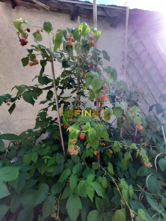 Parc Marin Preda, sector 1, vanzare vila individuala, mobilata, gradina, parcare