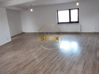 Spatiu in vila/ Salajan/ Nicolae Grigorescu/ birouri/ IT/ consultanta/ servicii 