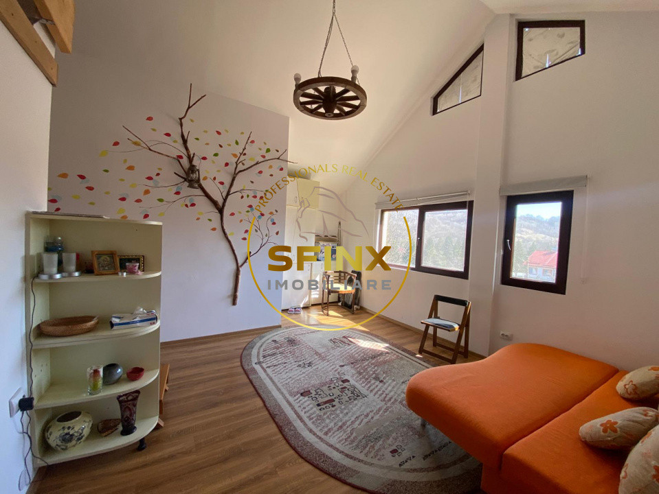 CASA DE VACANTA DE VANZARE-SLANIC PRAHOVA