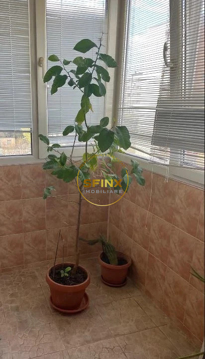 rahova ap 3 cam bloc reabilitat