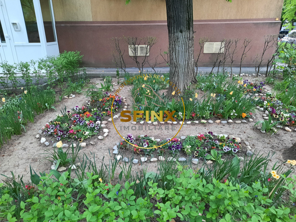 Drumul Taberei, Brancusi-Valea Oltului, vanzare garsoniera parter, boxa