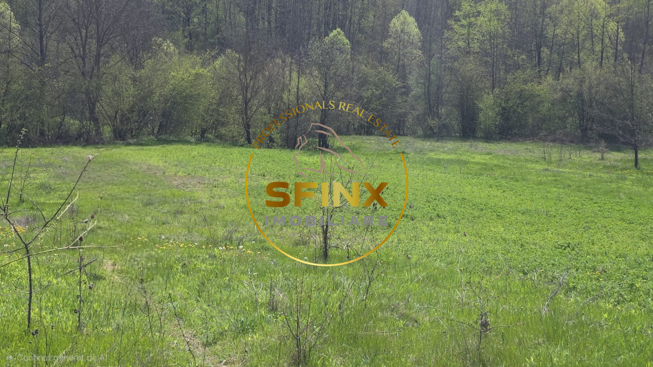 Teren intravilan Dobresti-Arges | 1000 mp 