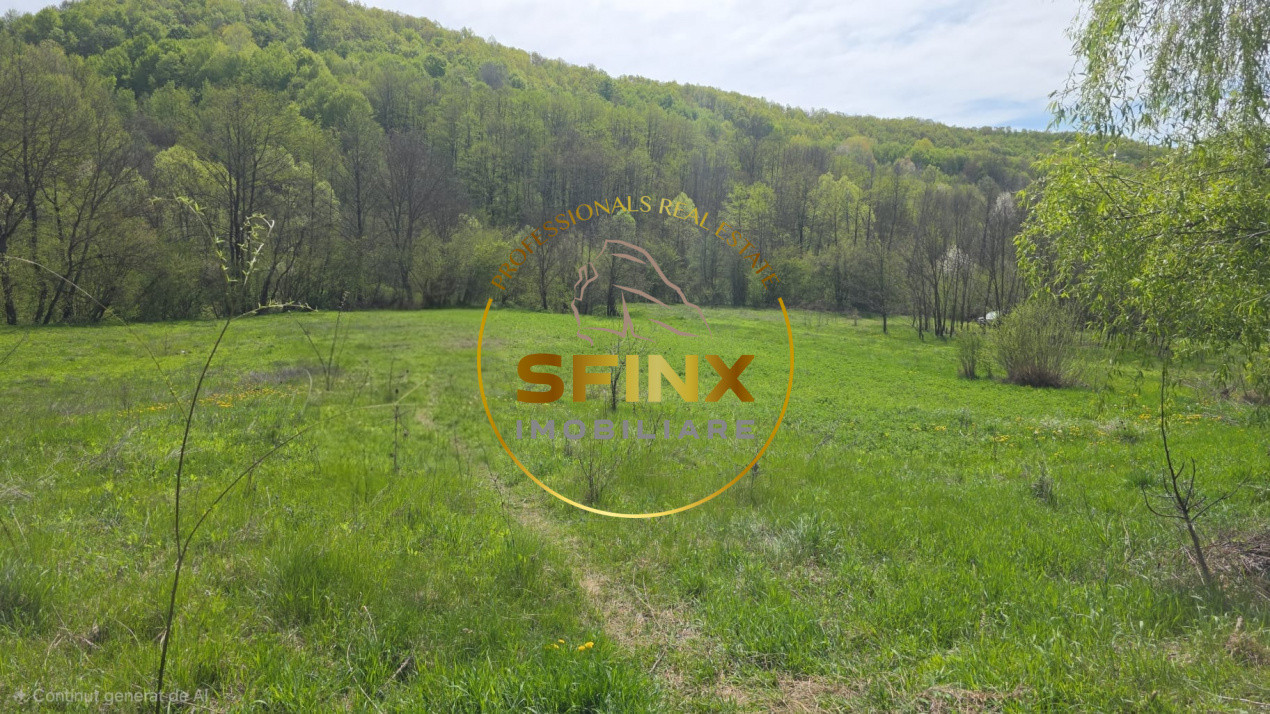 Teren intravilan Dobresti-Arges | 1000 mp 